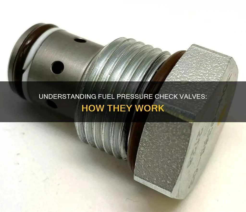 how does a fuel pressure checkvalve work