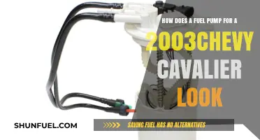 Visual Guide: Identifying the Fuel Pump in a 2003 Chevy Cavalier