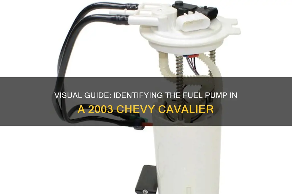 how does a fuel pump for a 2003chevy cavalier look