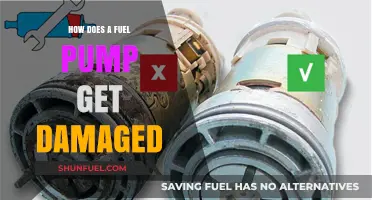 Understanding Common Causes of Fuel Pump Damage and Prevention Tips