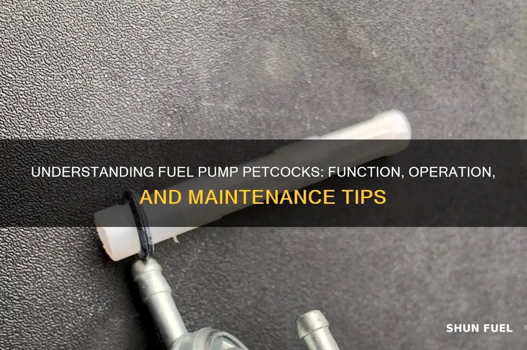 how does a fuel pump petcock work
