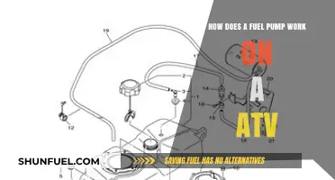 Understanding ATV Fuel Pump Functionality: A Comprehensive Guide