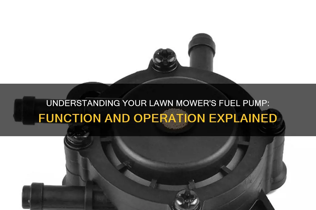 how does a fuel pump work on a lawn mower