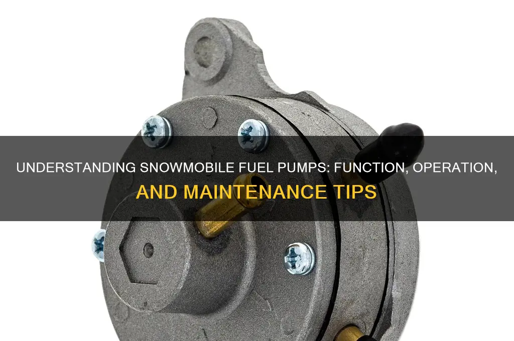 how does a fuel pump workp work on a snowmobile