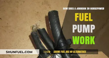 Understanding the Johnson 30 HP Fuel Pump's Operation and Functionality
