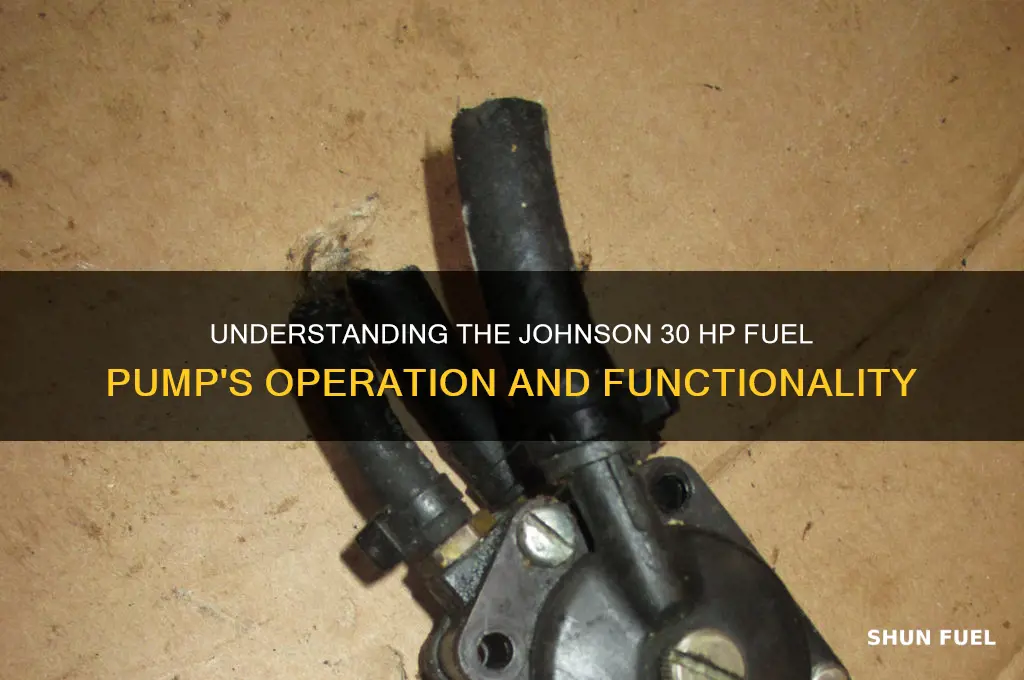 how does a johnson 30 horsepower fuel pump work