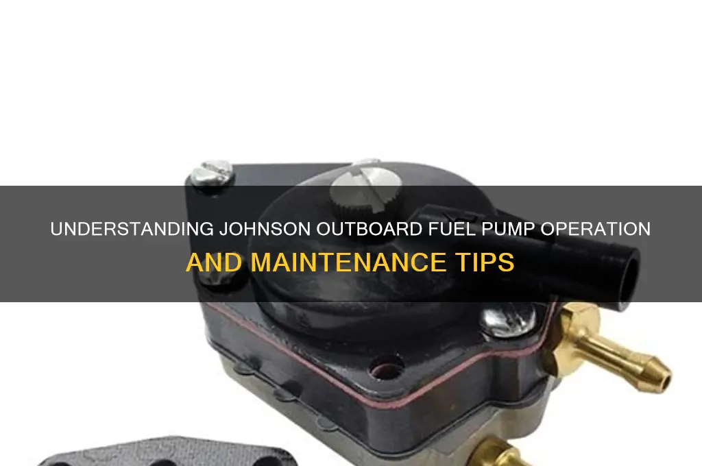 how does a johnson outboard fuel pump work
