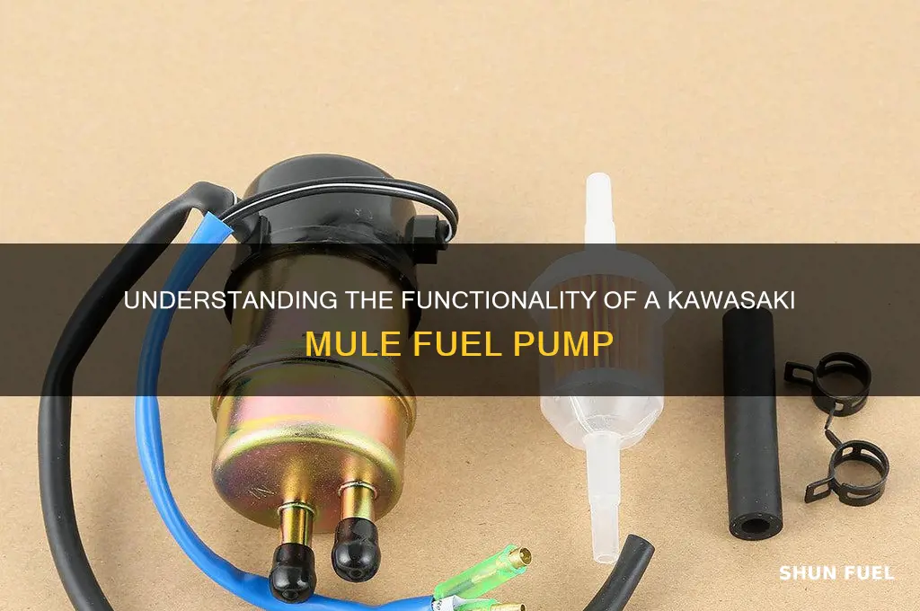 how does a kawaski mule fuel pump work