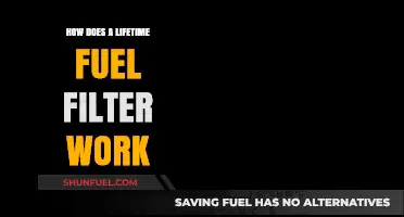 Fuel Filter: Lifetime Efficiency