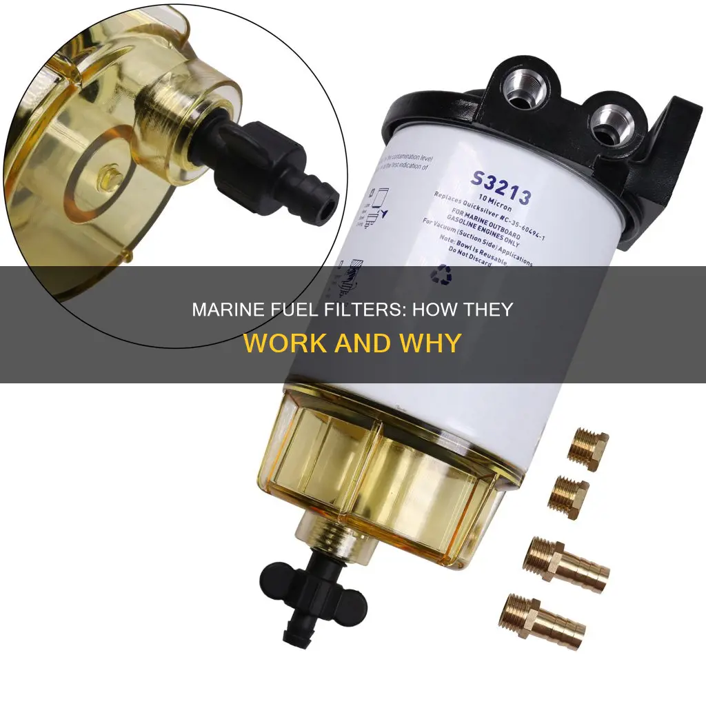 how does a marine fuel filter work