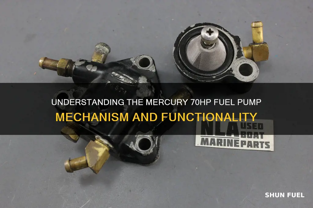 how does a mercury 70hp fuel pump work