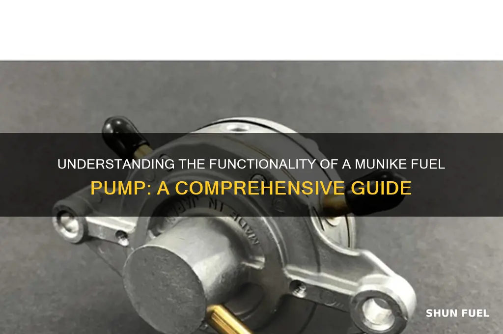 how does a munike fuel pump work