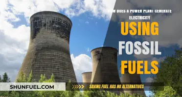 Fossil Fuel Power Plants: Generating Electricity Through Combustion and Steam
