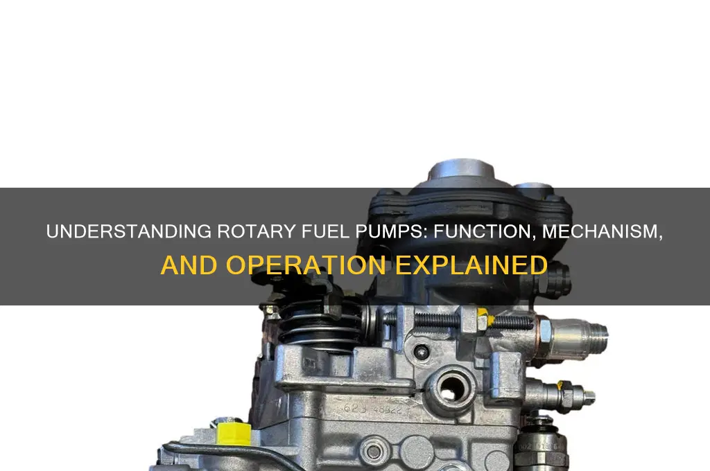 how does a rotary fuel pump work