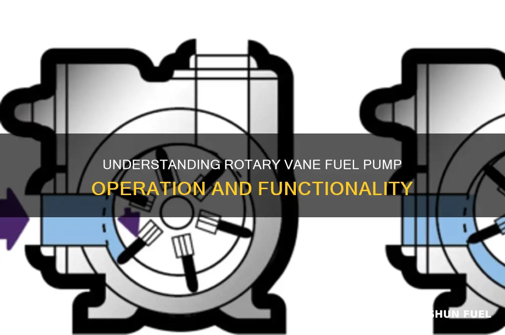 how does a rotary vane fuel pump work