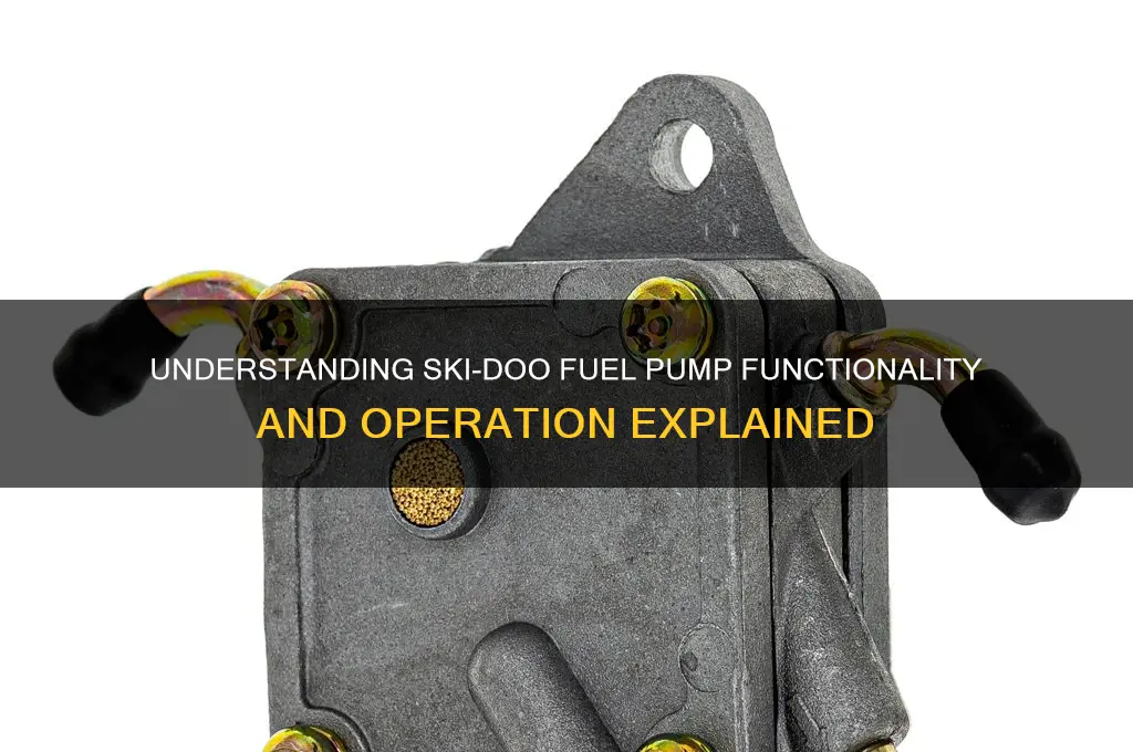 how does a ski-doo fuel pump work