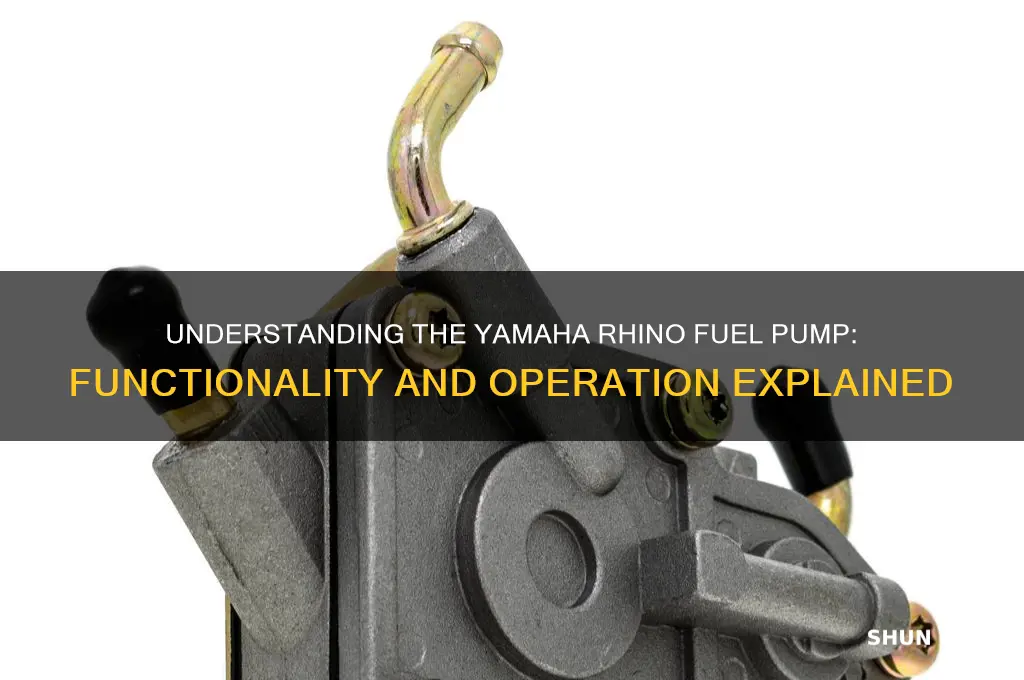 how does a yamaha rhino fuel pump work