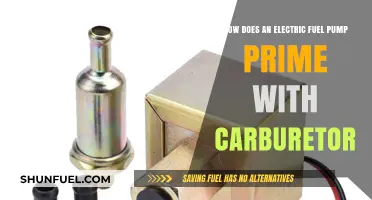 Electric Fuel Pump Priming: A Guide for Carburetor Systems