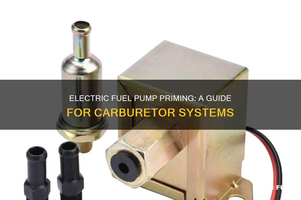 how does an electric fuel pump prime with carburetor