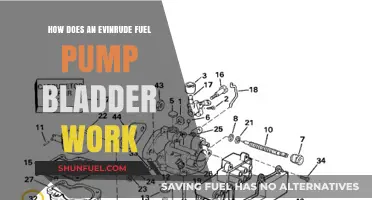 Understanding the Functionality of an Evinrude Fuel Pump Bladder