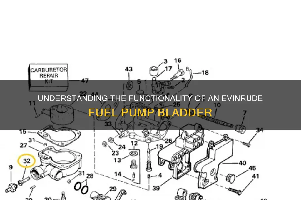 how does an evinrude fuel pump bladder work
