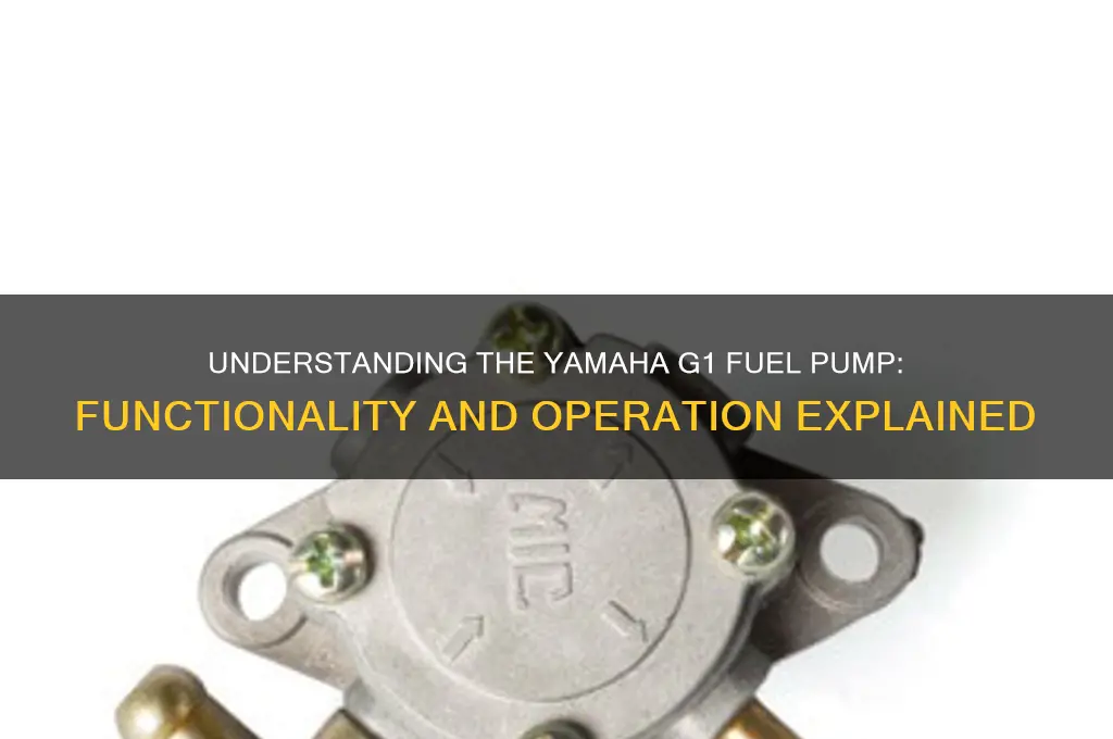 how does ayamaha g1 fuel pump work