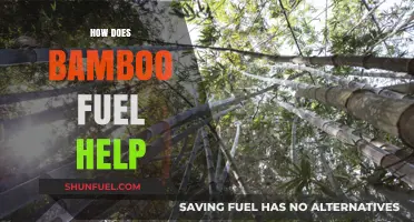 Bamboo Fuel: Sustainable Energy Benefits and Environmental Impact Explained