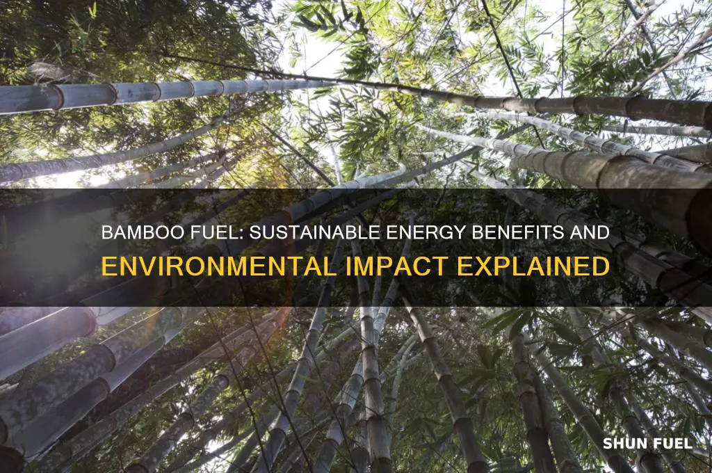how does bamboo fuel help