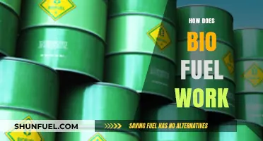 Understanding Biofuel: How Organic Matter Powers Engines Sustainably