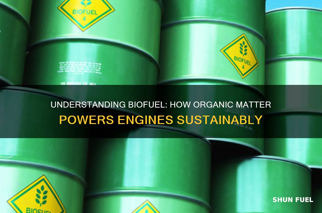how does bio fuel work
