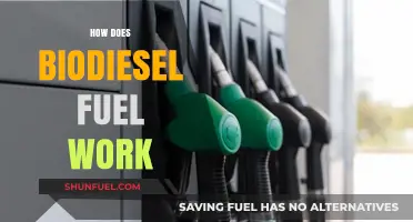 Understanding Biodiesel: How This Eco-Friendly Fuel Powers Engines