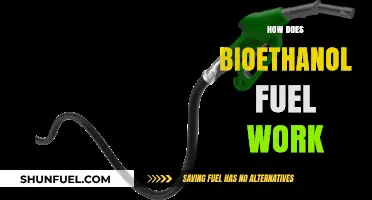 Understanding Bioethanol Fuel: How It Powers Vehicles and Reduces Emissions