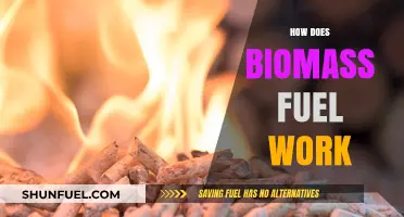 Understanding Biomass Fuel: How Organic Matter Powers Sustainable Energy