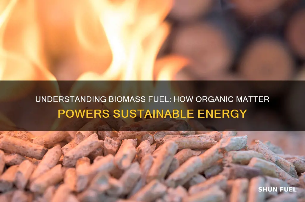 how does biomass fuel work