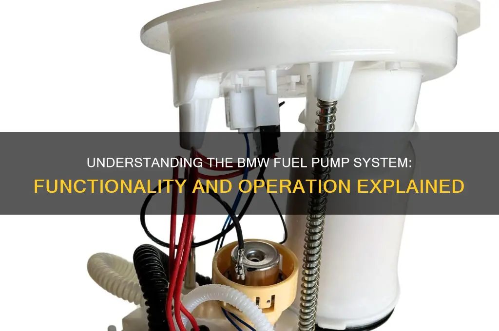 how does bmw fuel pump system function