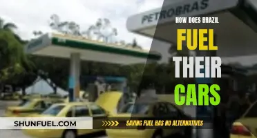 Brazil's Unique Gasoline Blend: A Look at Fueling Cars