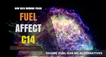 Fossil Fuel Burning: Impact on Carbon-14 Levels