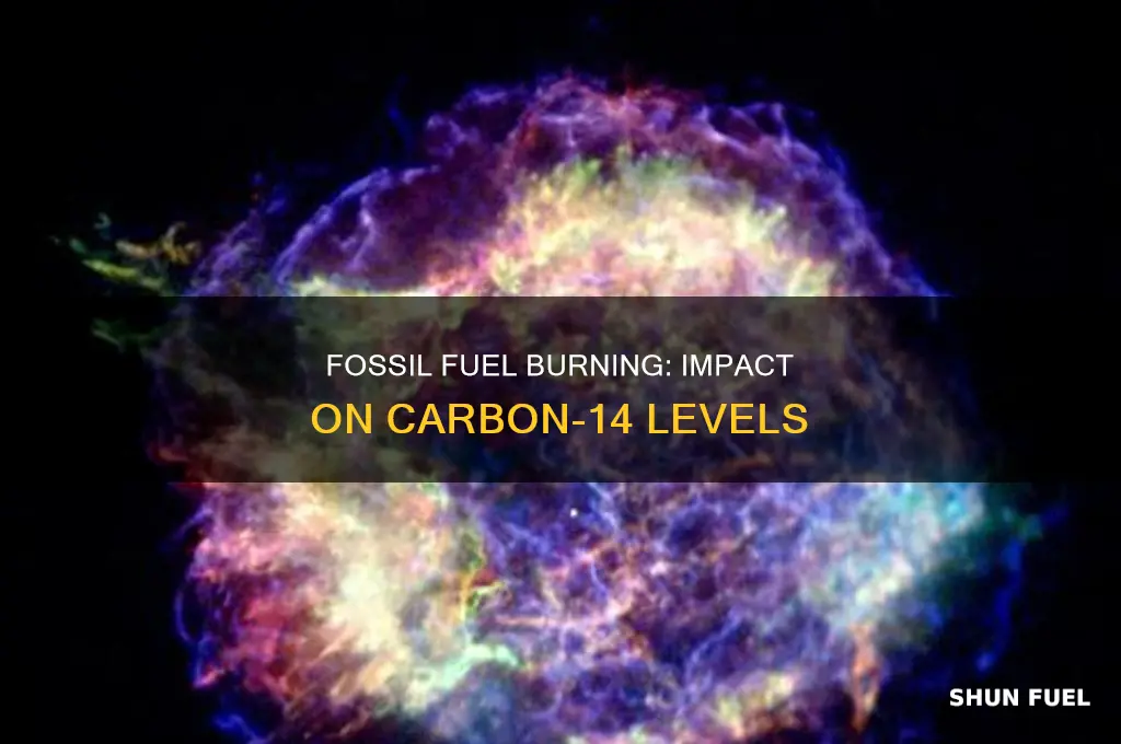 how does burning fossil fuel affect c14