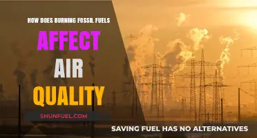 Fossil Fuels: Air Quality's Worst Enemy