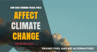 Fossil Fuels: Climate Change's Worst Enemy