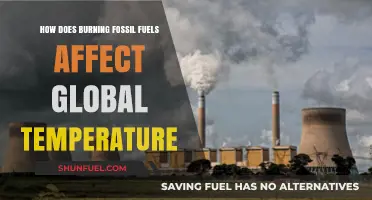 Fossil Fuels: Warming Our Planet, Changing Our Climate