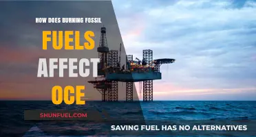 The Impact of Fossil Fuels on Our Oceans