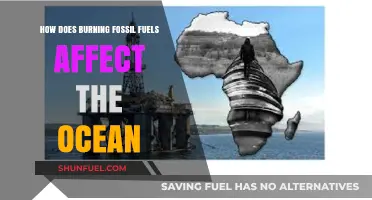 The Impact of Fossil Fuels on Our Oceans