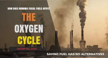 Fossil Fuels: Disrupting the Oxygen Cycle