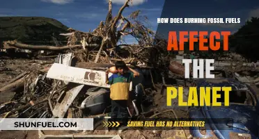 The Dark Side of Fossil Fuels: Damaging Our Planet
