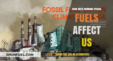 Fossil Fuel Burning: Impacting Our Health and Climate