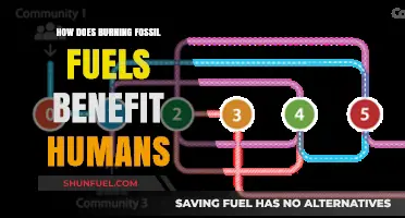 Fossil Fuels: Powering Human Progress and Development