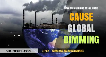 Fossil Fuel Burning: Global Dimming's Root Cause