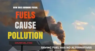 Fossil Fuels: Burning Questions on Pollution and Climate Change