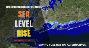 The Impact of Fossil Fuels: Rising Sea Levels